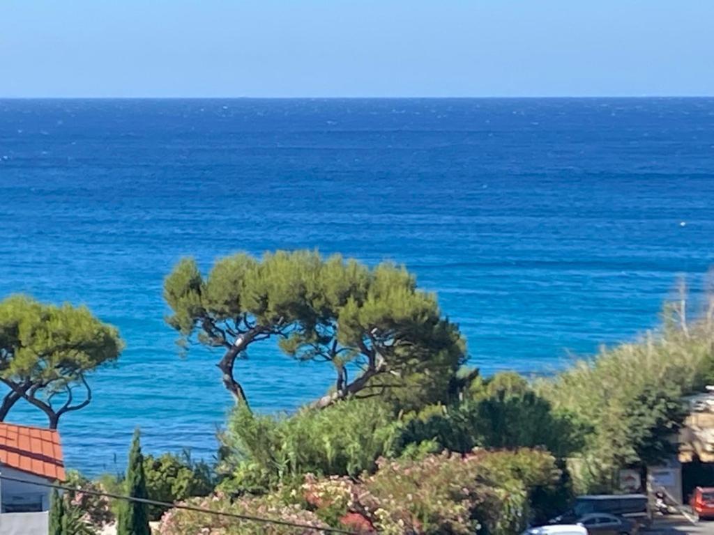 Face A La Mer, Cassis Et Son Cap Canaille Kültér fotó